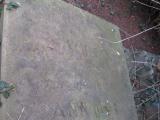 image of grave number 365992